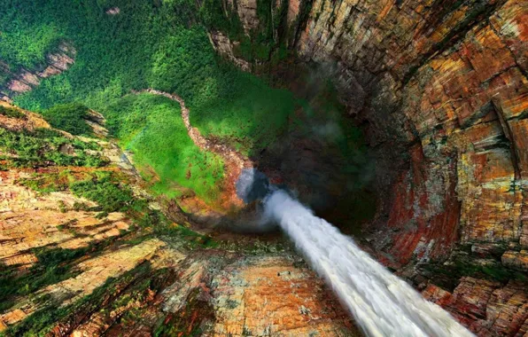 Картинка forest, waterfall, topical