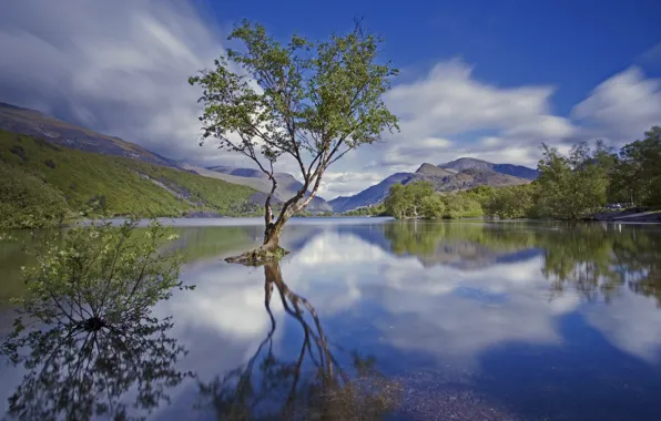 Картинка горы, озеро, дерево, Англия, национальный парк, Сноудония, Северный Уэльс