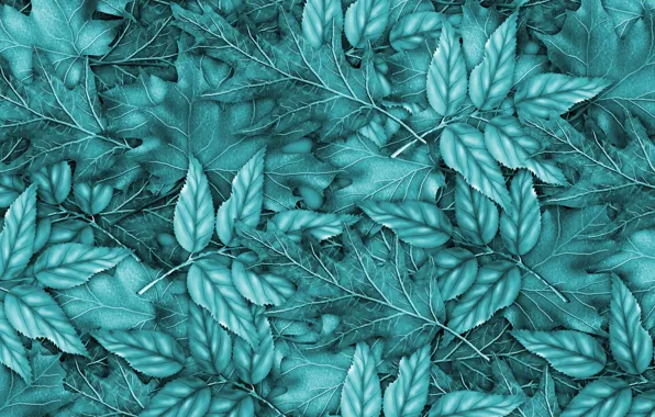 Картинка листья, фон, blue, background