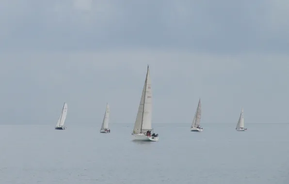 Море, Франция, яхта, регата, парусный спорт, Кань-сюр-Мер