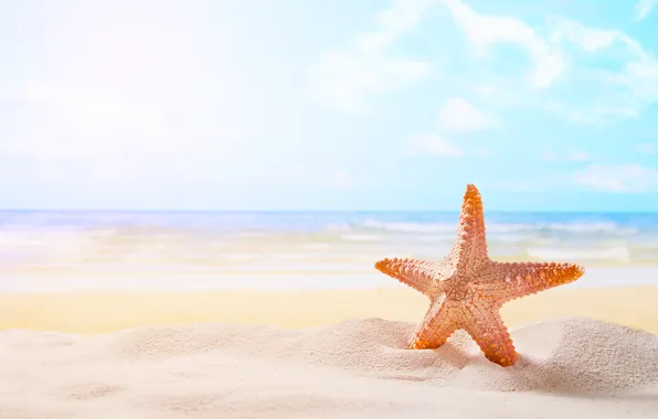 Песок, море, пляж, звезда, summer, beach, sea, sand