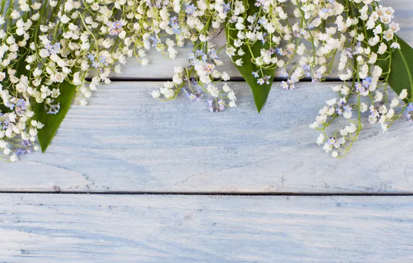 Картинка цветы, букет, весна, white, ландыши, wood, flowers, spring