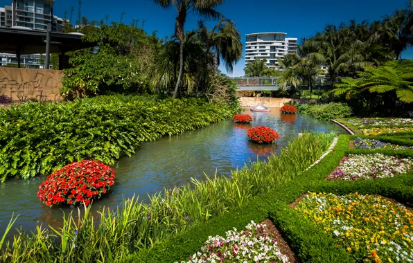 Картинка трава, деревья, цветы, дизайн, пруд, парк, пальмы, Австралия