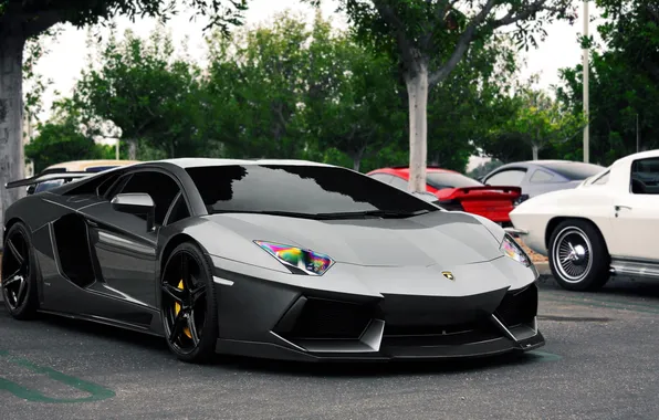 Lamborghini, Aventador, Авентадор, LP900-4