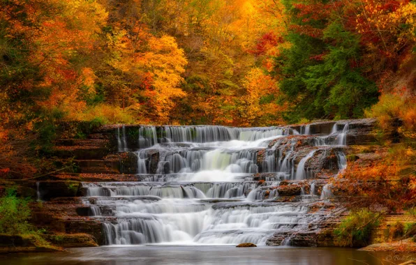 Картинка водопад, Штат Нью-Йорк, осень, лес, каскад