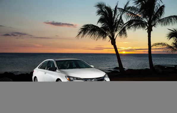 Toyota, camry, tropical, xle