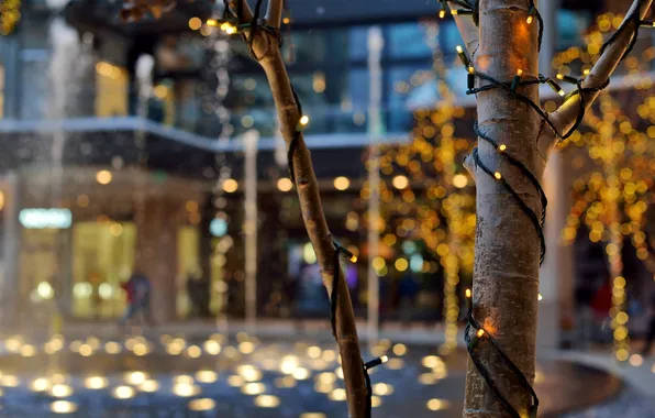 Картинка зима, деревья, город, огни, здания, вечер, Юта, USA