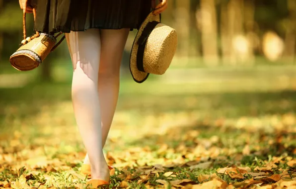 Картинка осень, ноги, шляпка, сумка