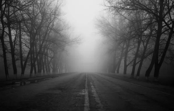 Дорога, осень, Туман