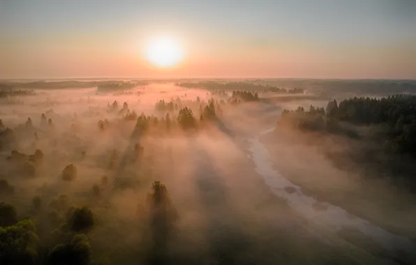 Поле, лес, лето, небо, солнце, лучи, свет, деревья