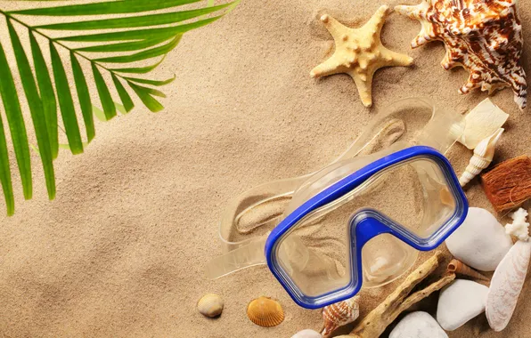 Картинка песок, пляж, лето, ракушки, seashells