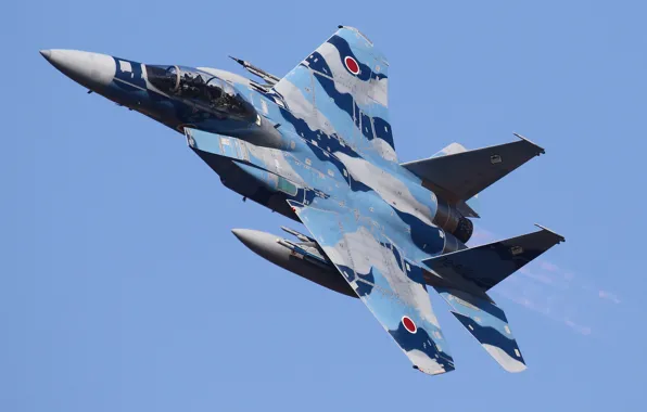 Япония, F-15DJ, Тактический истребитель