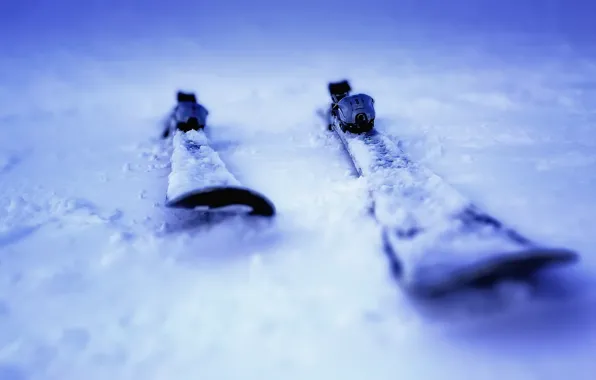 Зима, снег, лыжи