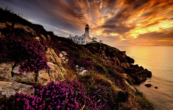 Картинка море, пейзаж, скалы, рассвет, маяк, утро, Ирландия, Donegal