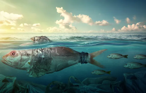 Море, рыбки, мусор, океан, бутылка, загрязнение, рыба, пластик