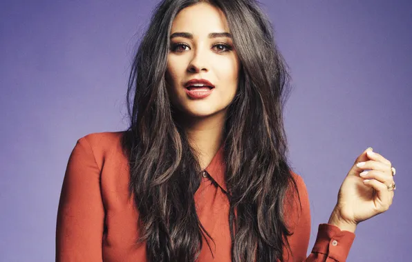 Взгляд, девушка, поза, волосы, блузка, красивая, Shay Mitchell