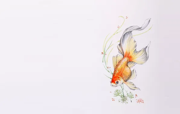 Картинка водоросли, рисунок, рыбка, арт, золотая рыбка