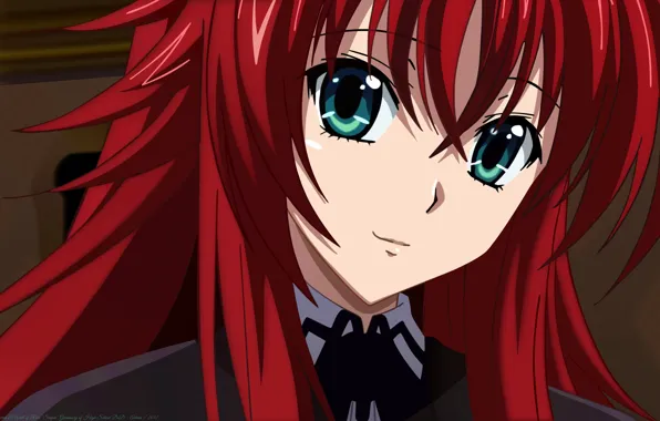 High School DXD, Старшая школа демонов, Rias, DXD