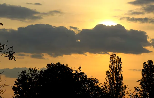 Sky, cloud, sun