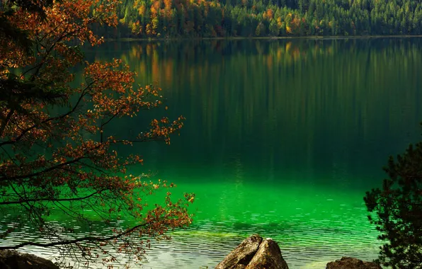 Картинка деревья, озеро, берега, Фолькер Глач