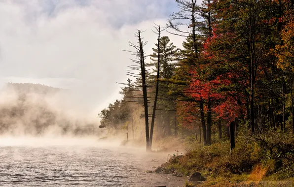 Лес, природа, туман, река, Vermont