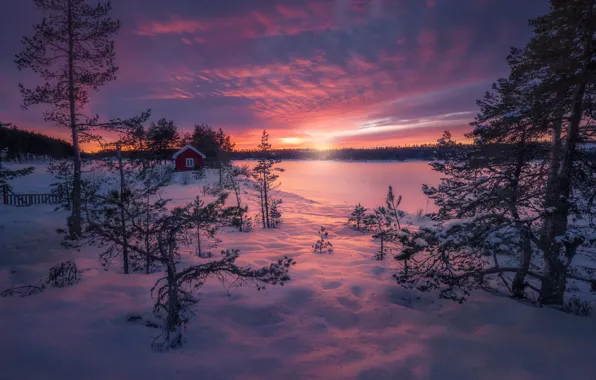 Картинка Норвегия, Norway, Ringerike, Magic of Winter