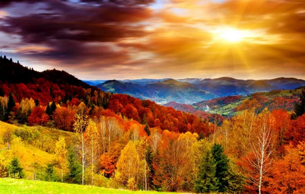 Landscape, nature, autumn