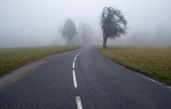 Дорога, пейзаж, туман