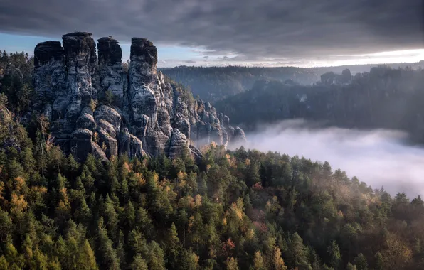 Картинка горы, природа, туман