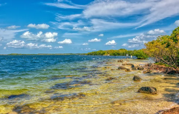 Море, небо, солнце, облака, деревья, камни, берег, Флорида