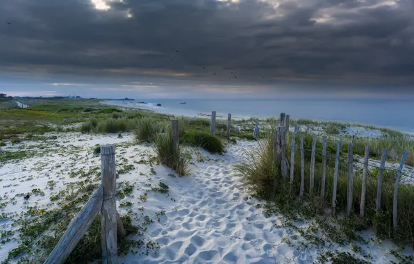 Картинка море, пляж, берег