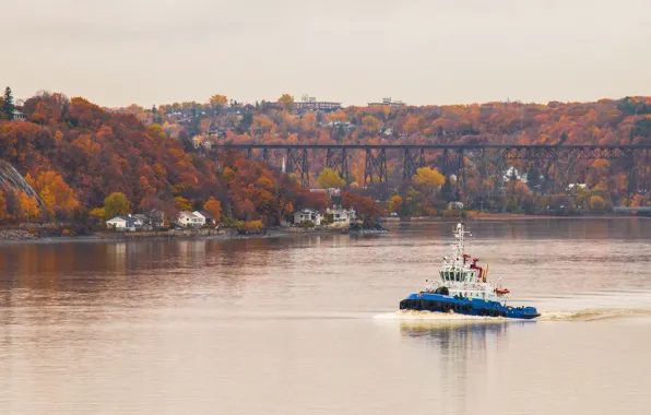 Картинка river, bridge, autumn, railway, autumn colors, cloudy, tugboat