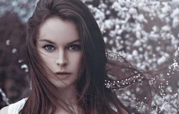 Глаза, девушка, портрет, брюнетка