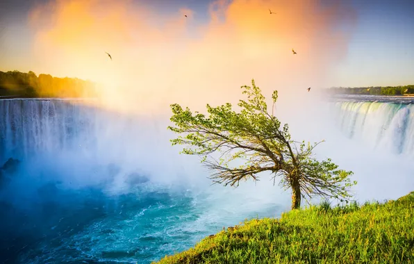 Картинка пейзаж, природа, дерево, водопад, ниагарский водопад