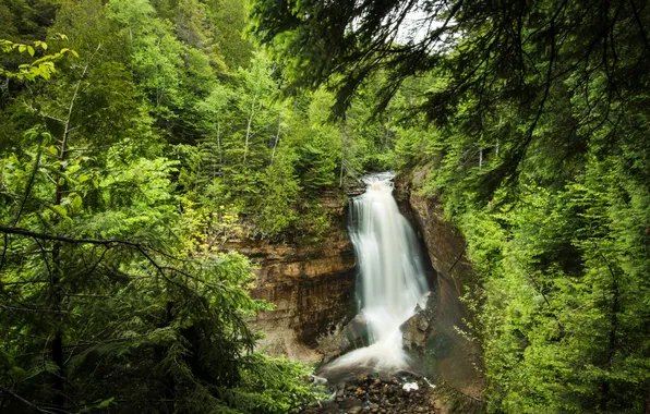 Картинка лес, деревья, скала, ручей, камни, обрыв, водопад, США