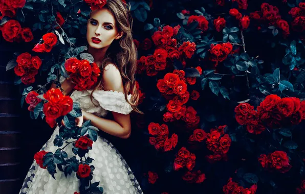 Картинка девушка, цветы, розы, платье, розовый куст, Руслан Болгов