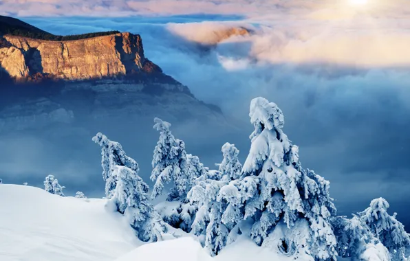 Картинка зима, солнце, снег, горы, елки, landscape, winter, snow