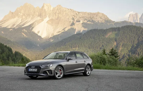 Авто, лес, горы, Audi, TDI, Avant