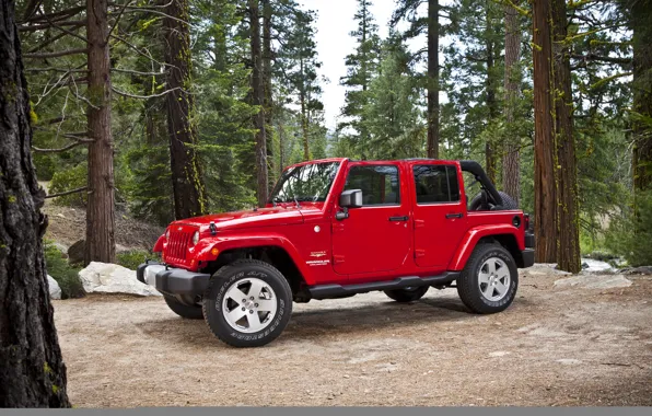 Красный, Деревья, Лес, Джип, Sahara, Wrangler, Jeep