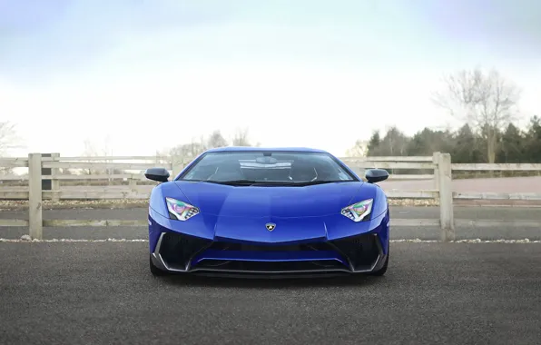 Картинка lamborghini, blue, front, view, aventador, 750-4, lp, sv