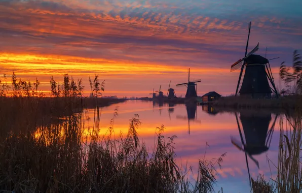 Трава, закат, отражение, берег, камыш, водоем, ветряные мельницы