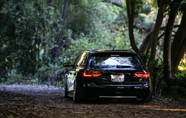 Картинка Audi, black, rear, wagon, stance, avant