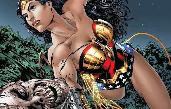 Wonder Woman, DC Comics, Диана, Diana, Чудо-женщина, Амазонка