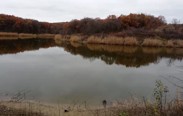 Осень, озеро, рыбалка, удочки