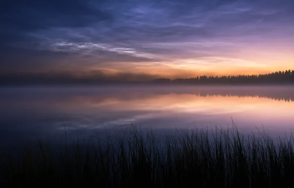 Картинка природа, туман, озеро, вечер