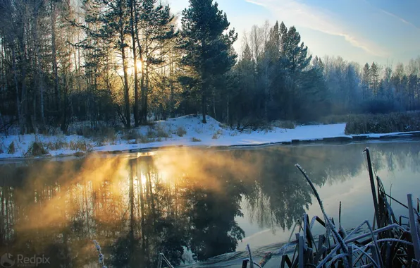 Картинка свет, снег, деревья, пейзаж, природа, река, утро