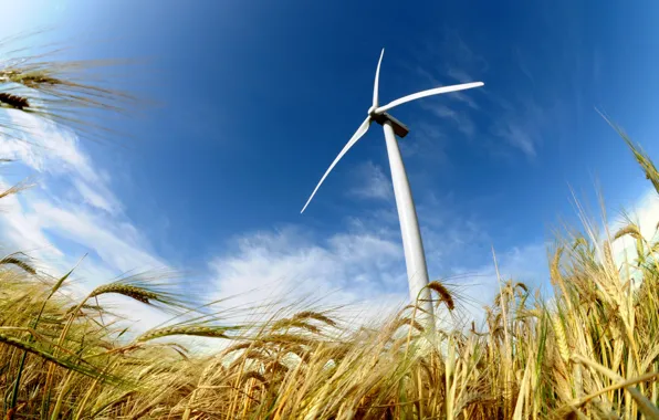 Картинка field, power, energy, wind, wind turbine