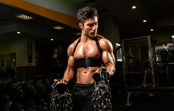 Muscles, chains, muscular, arms, Bodybuilder, wide pectorals