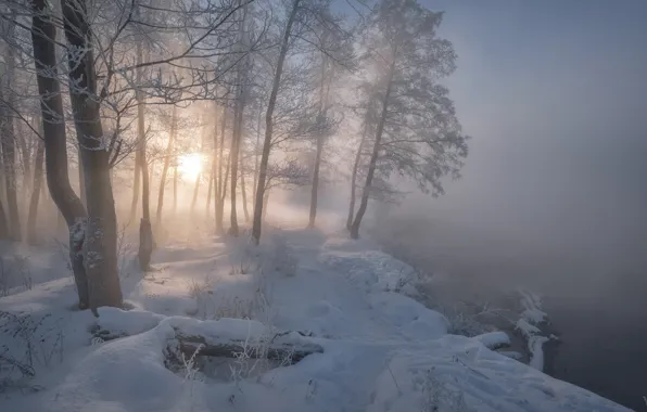 Картинка зима, снег, деревья, туман, река, рассвет, утро, Россия