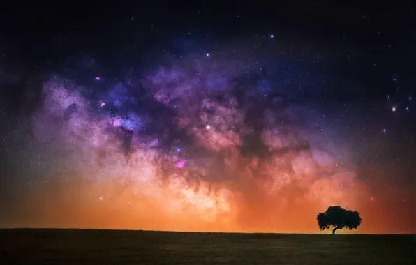 Поле, небо, космос, звезды, ночь, дерево